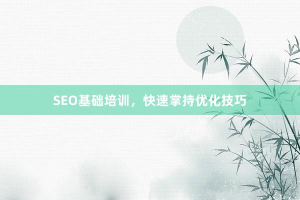 SEO基础培训，快速掌持优化技巧